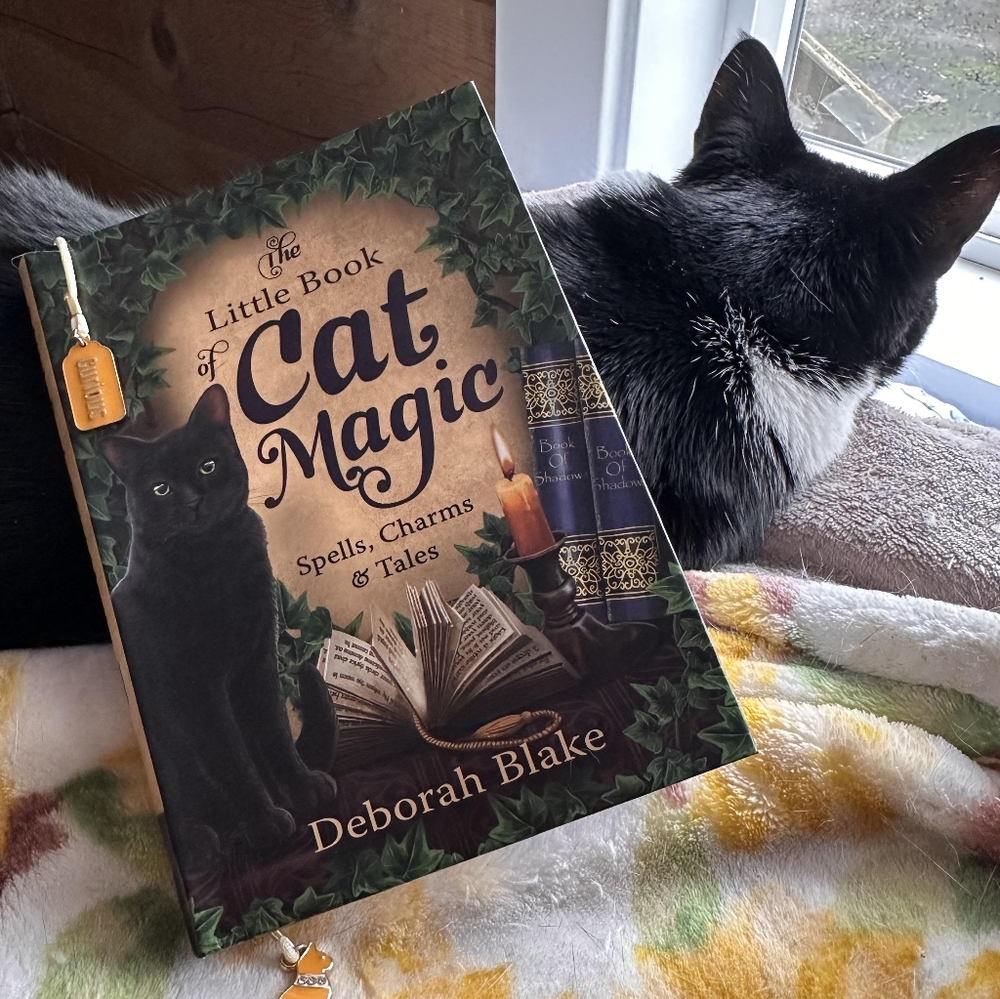 The Little Book of Cat Magic